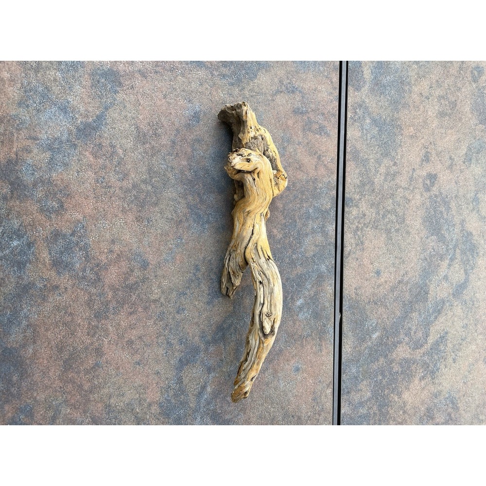 Natural Driftwood for Plants Terrarium Taxidermy Art‎ Projects